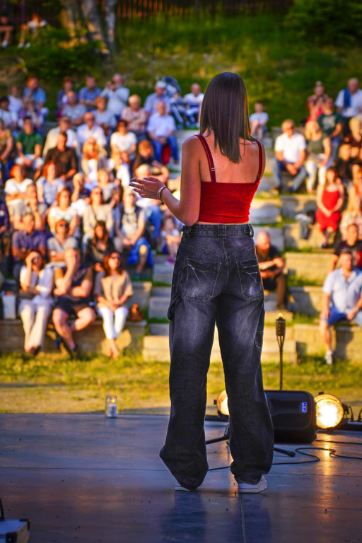 Koncert w Wapiennem