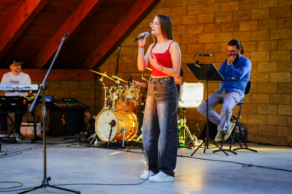 Koncert w Wapiennem