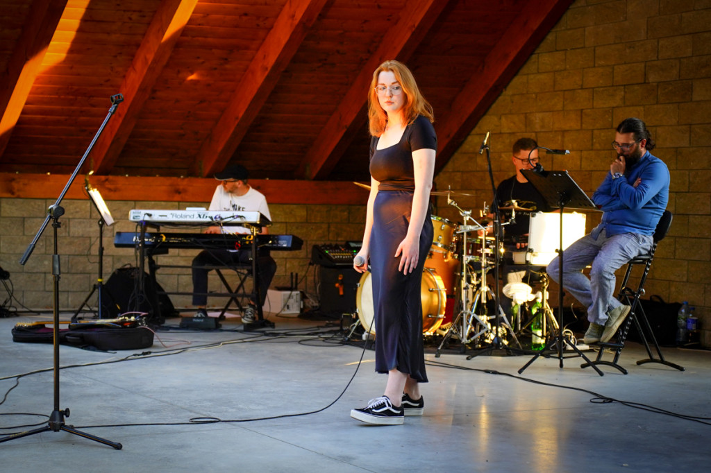 Koncert w Wapiennem