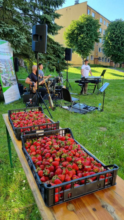 Pikniki Rodzinne z okazji Dnia Dziecka (27.05. i 28.05.)