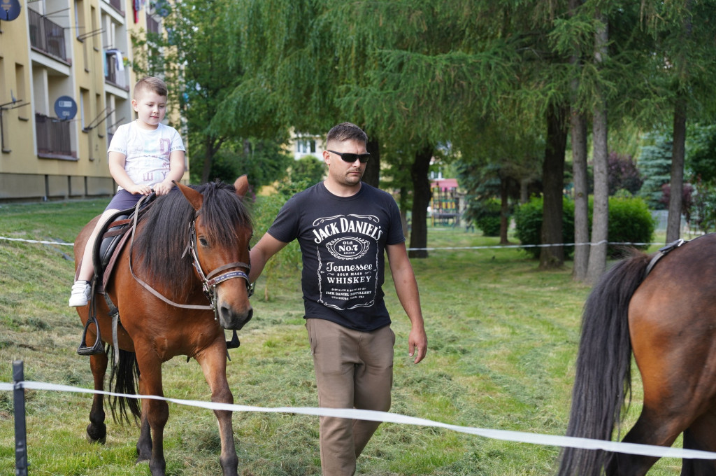 Pikniki Rodzinne z okazji Dnia Dziecka (27.05. i 28.05.)