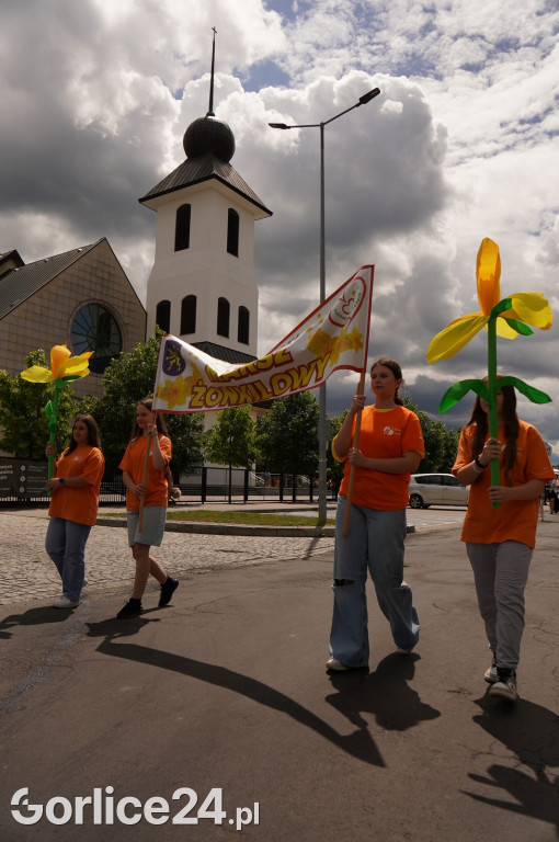 XII Gorlicki Marsz Żonkilowy 2024
