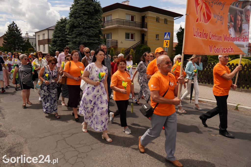 XII Gorlicki Marsz Żonkilowy 2024