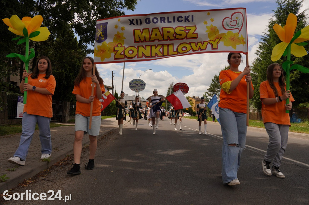 XII Gorlicki Marsz Żonkilowy 2024