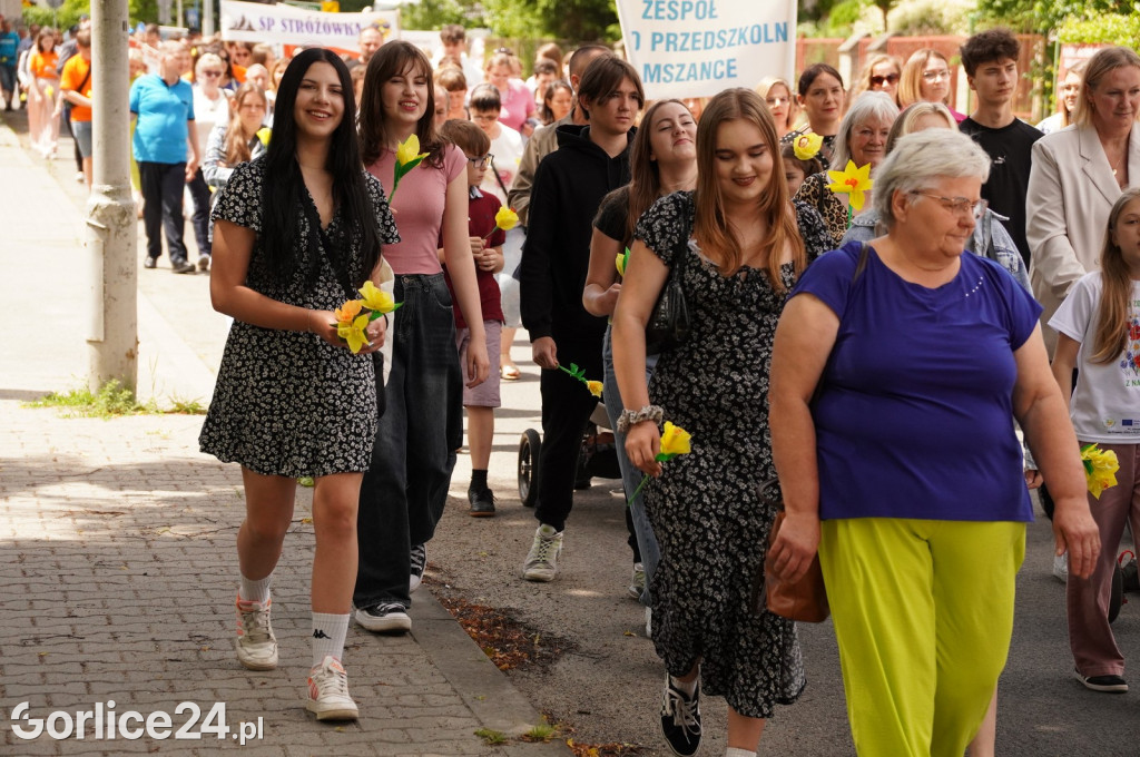 XII Gorlicki Marsz Żonkilowy 2024