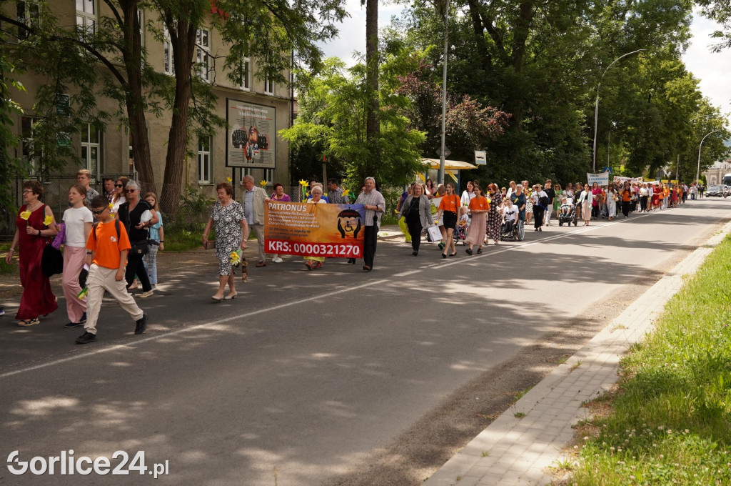 XII Gorlicki Marsz Żonkilowy 2024