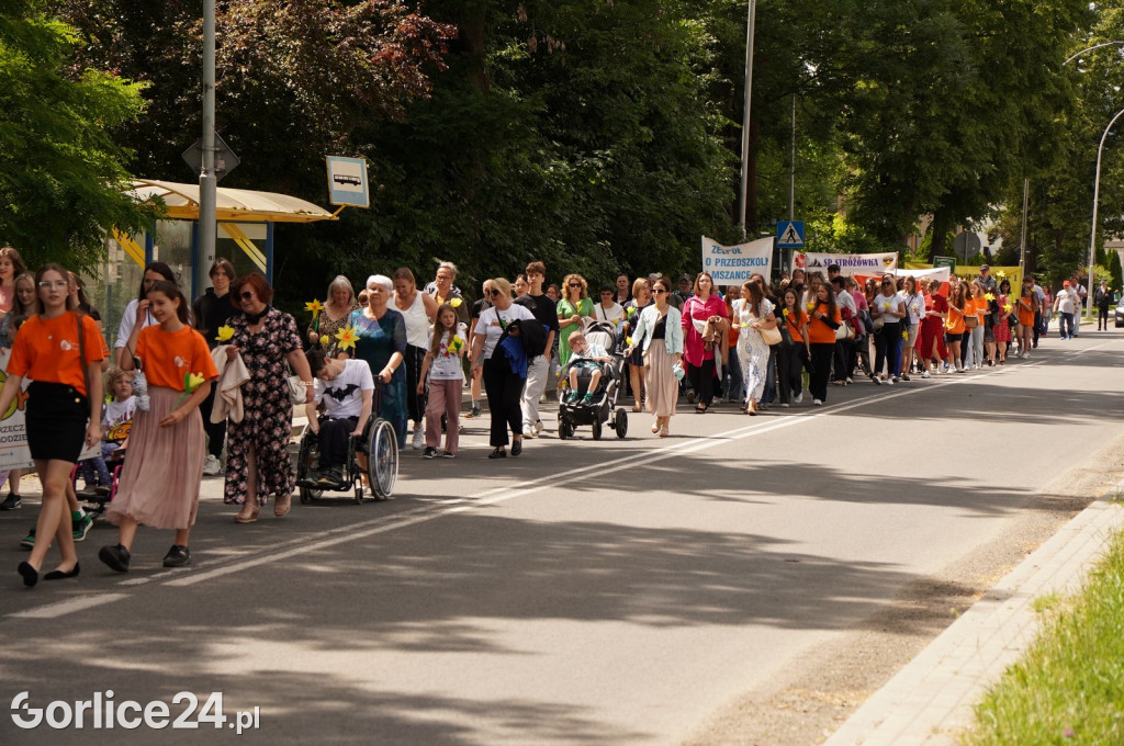 XII Gorlicki Marsz Żonkilowy 2024
