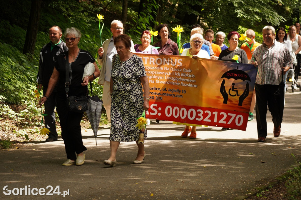 XII Gorlicki Marsz Żonkilowy 2024