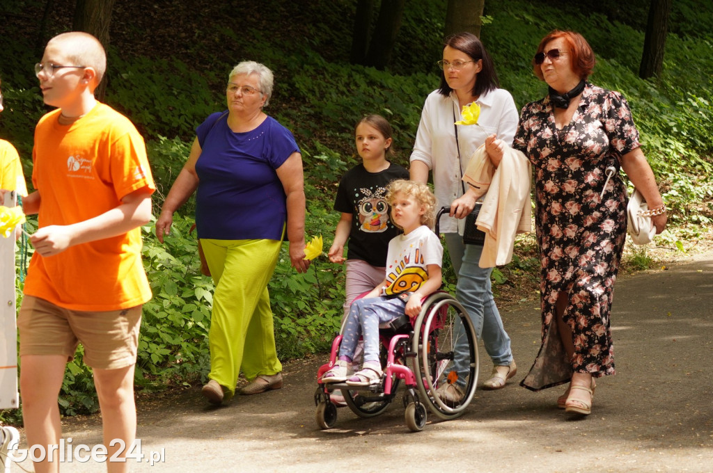 XII Gorlicki Marsz Żonkilowy 2024