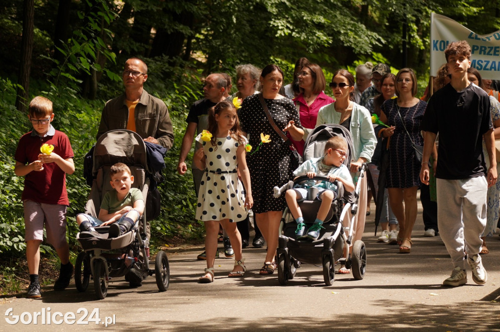 XII Gorlicki Marsz Żonkilowy 2024