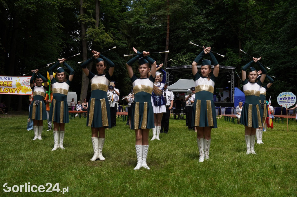 XII Gorlicki Marsz Żonkilowy 2024