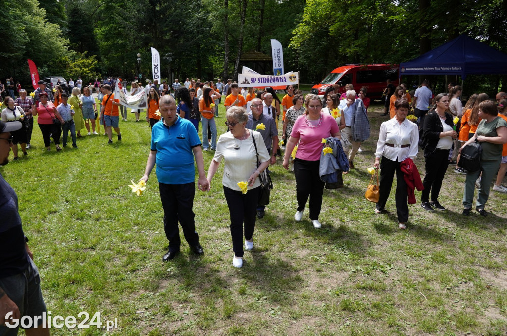 XII Gorlicki Marsz Żonkilowy 2024