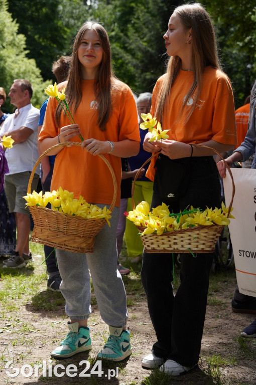 XII Gorlicki Marsz Żonkilowy 2024