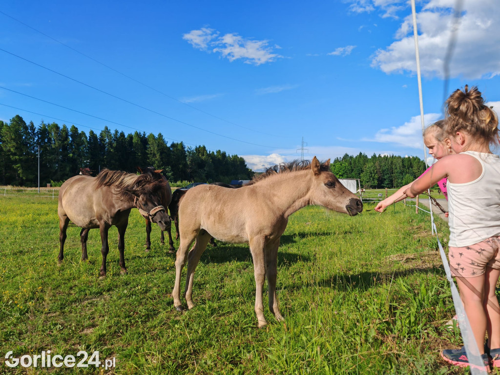 Dzień Dziecka w Galopadzie (01.06.)