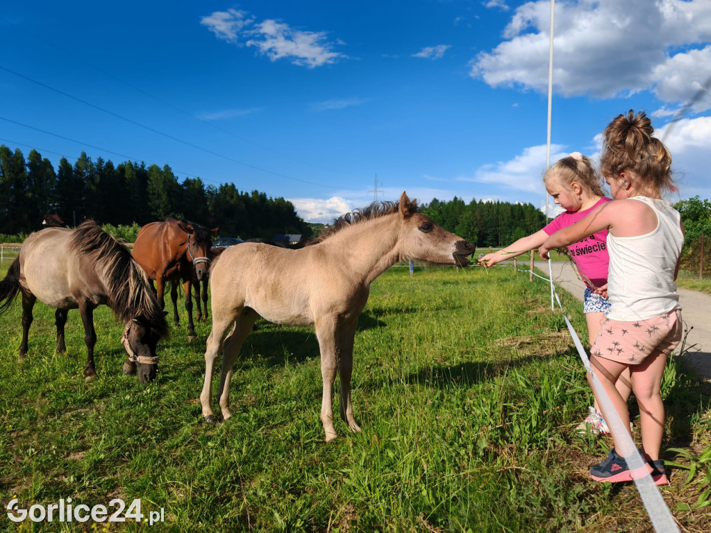 Dzień Dziecka w Galopadzie (01.06.)