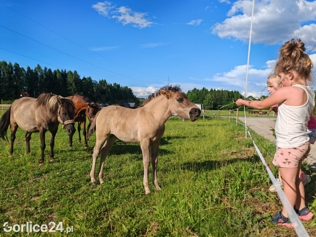 Dzień Dziecka w Galopadzie (01.06.)