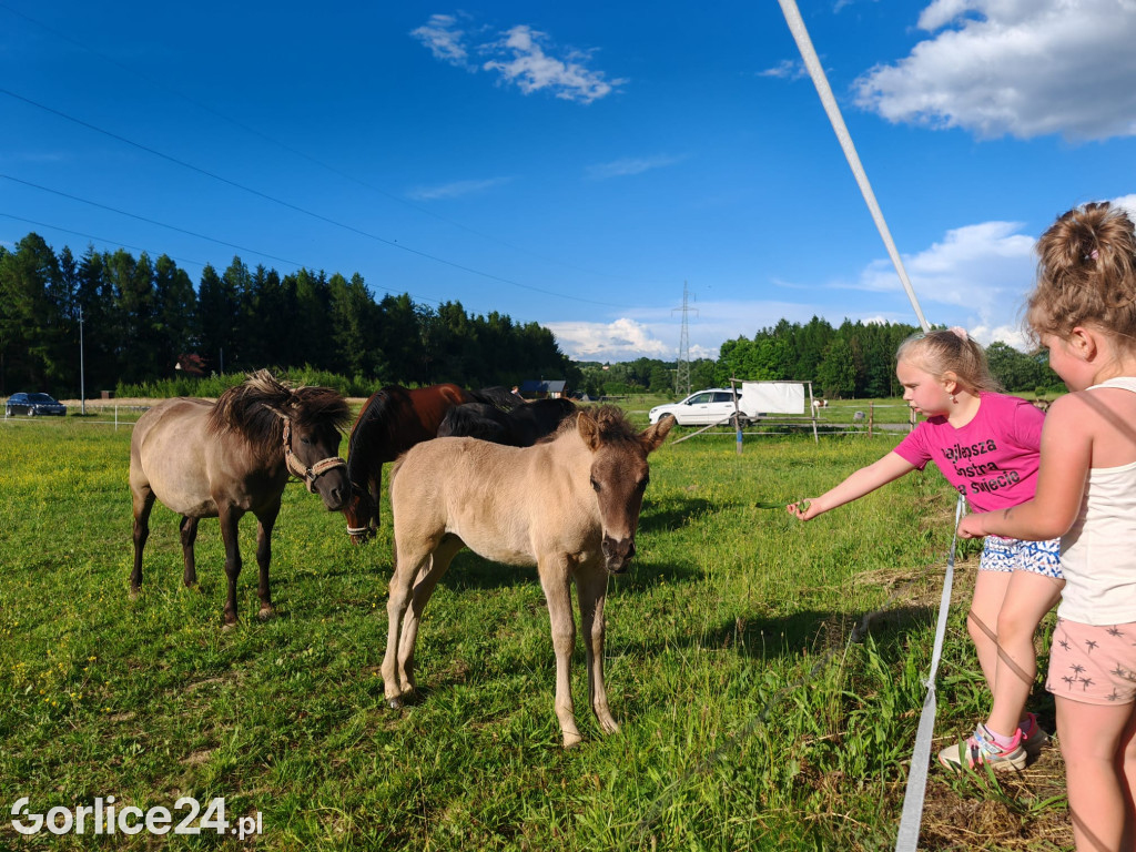 Dzień Dziecka w Galopadzie (01.06.)