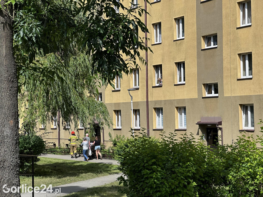 Akcja służb na ul. Słonecznej