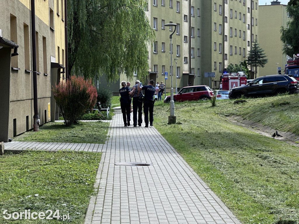 Akcja służb na ul. Słonecznej
