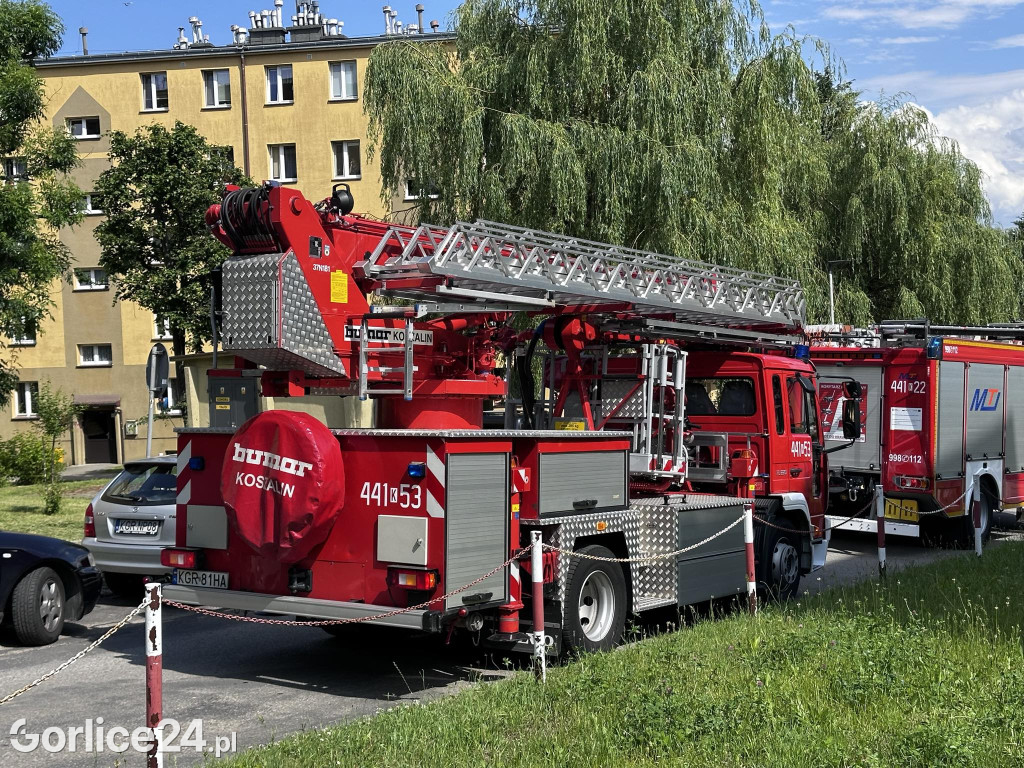 Akcja służb na ul. Słonecznej