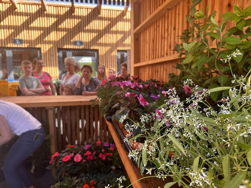 Eko-piknik pod nazwą „Wymień odpad na sadzonkę” w Bieczu
