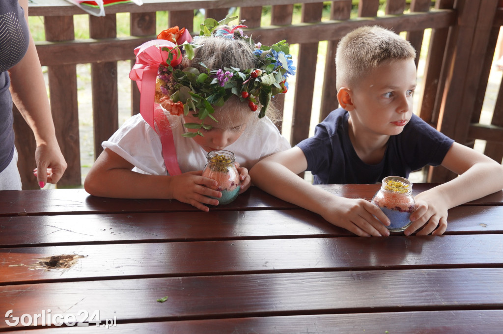 Ekopiknik w Sękowej