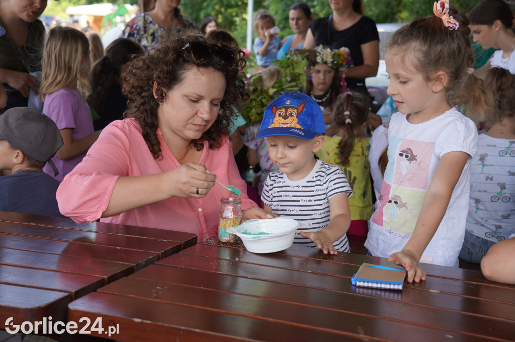 Ekopiknik w Sękowej