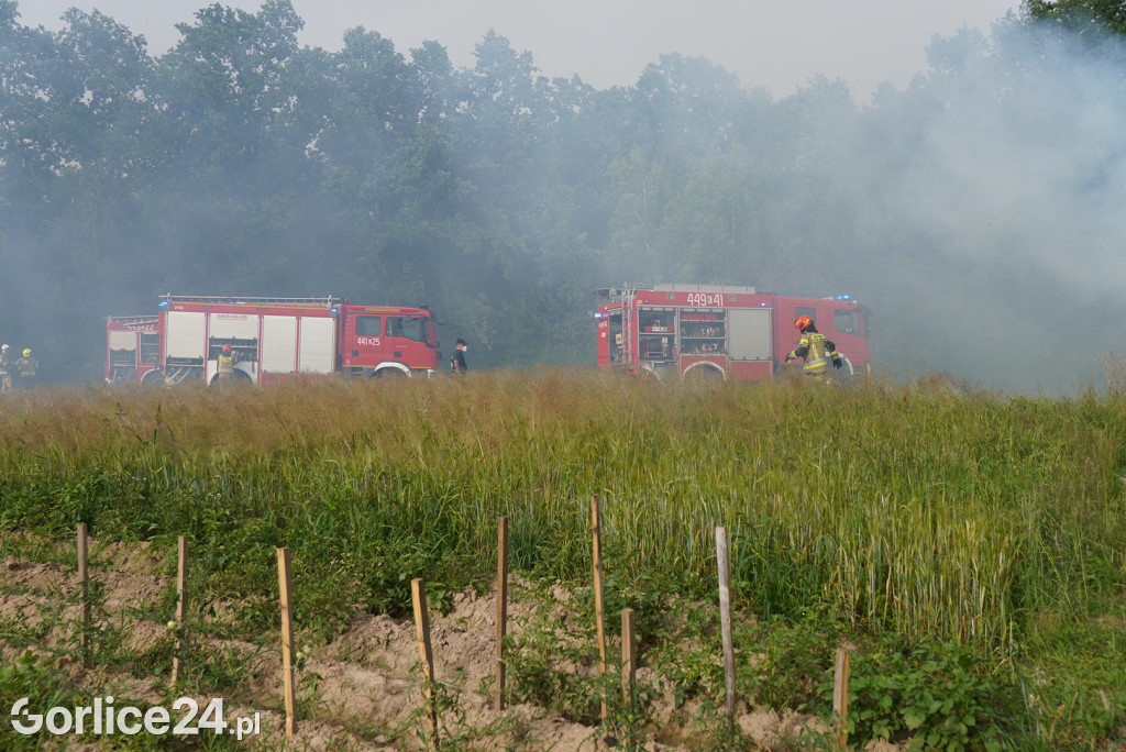 Pożar stodoły w Kobylance (30.06.)
