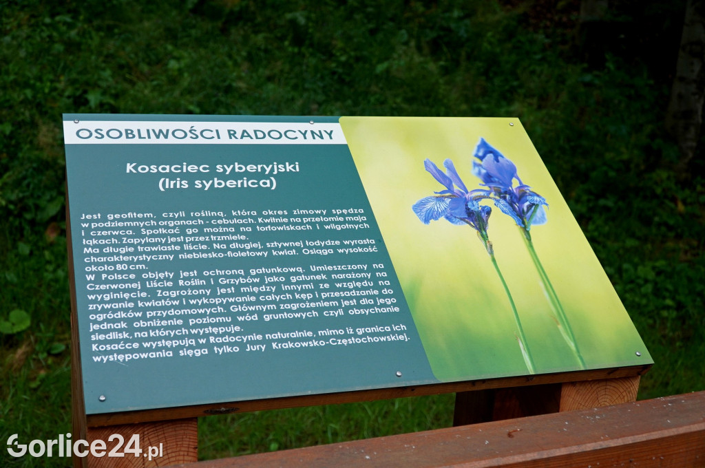Uroczyste otwarcie Ekoparku-Radocyna
