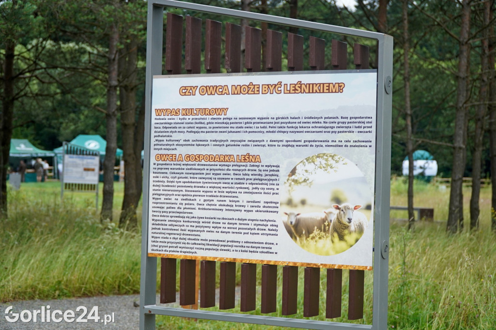 Uroczyste otwarcie Ekoparku-Radocyna