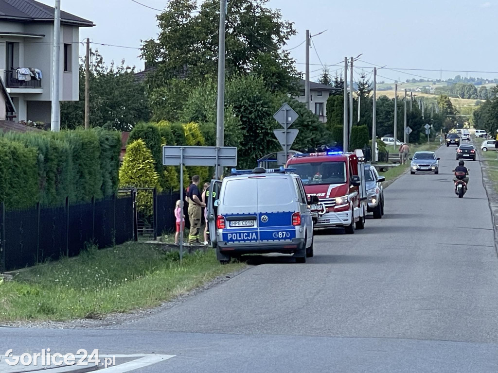 Poszukiwania mężczyzny w Lipinkach (27.07.)