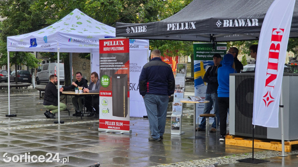 Ekosfera na gorlickim Rynku (03.08.)