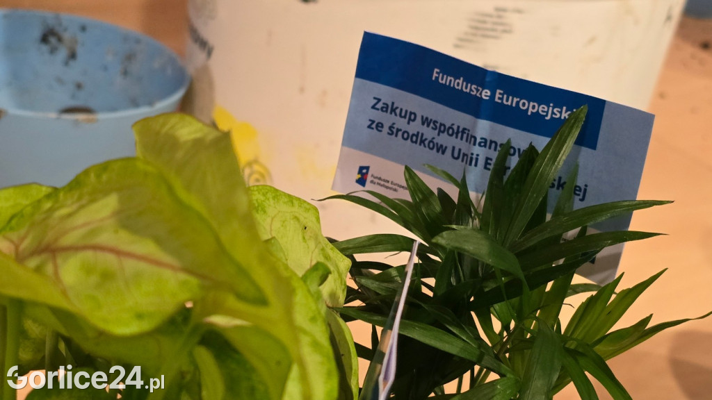 Ekosfera na gorlickim Rynku (03.08.)