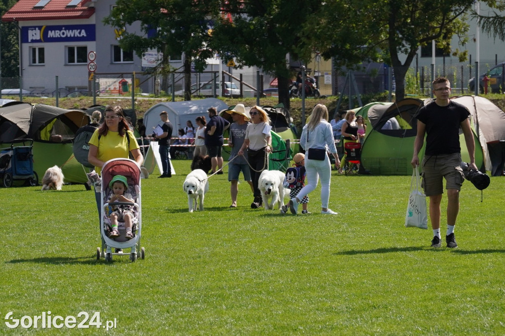 Wystawa Psów Rasowych w Gorlicach (10.08.2024.)