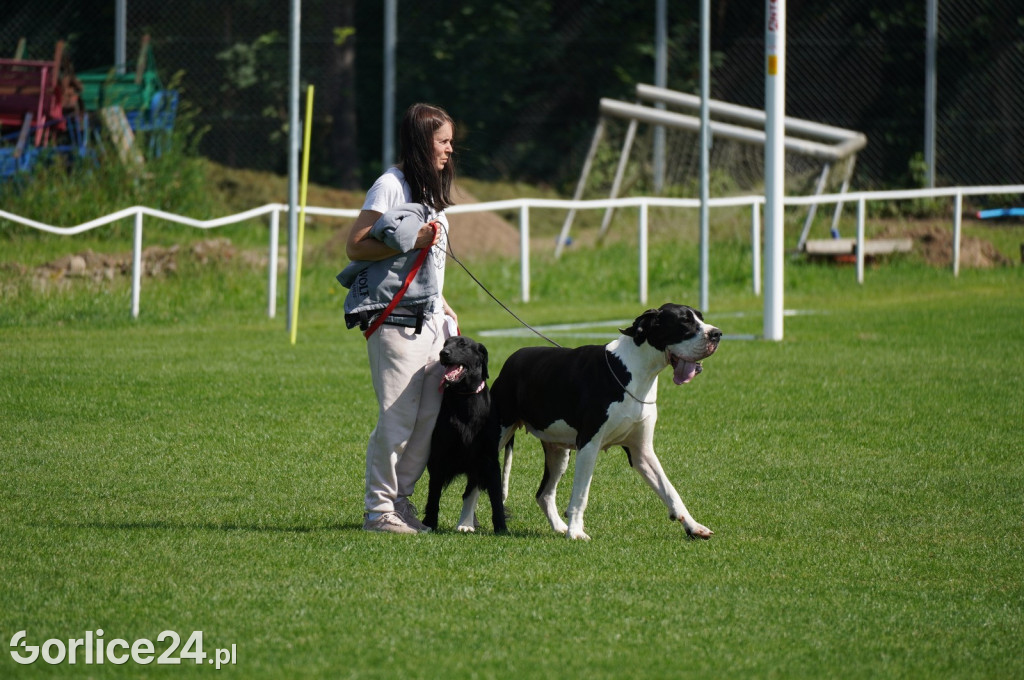 Wystawa Psów Rasowych w Gorlicach (10.08.2024.)