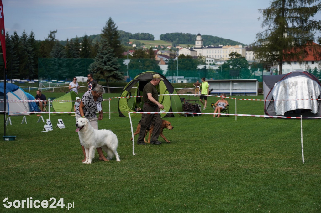 Wystawa Psów Rasowych w Gorlicach (10.08.2024.)