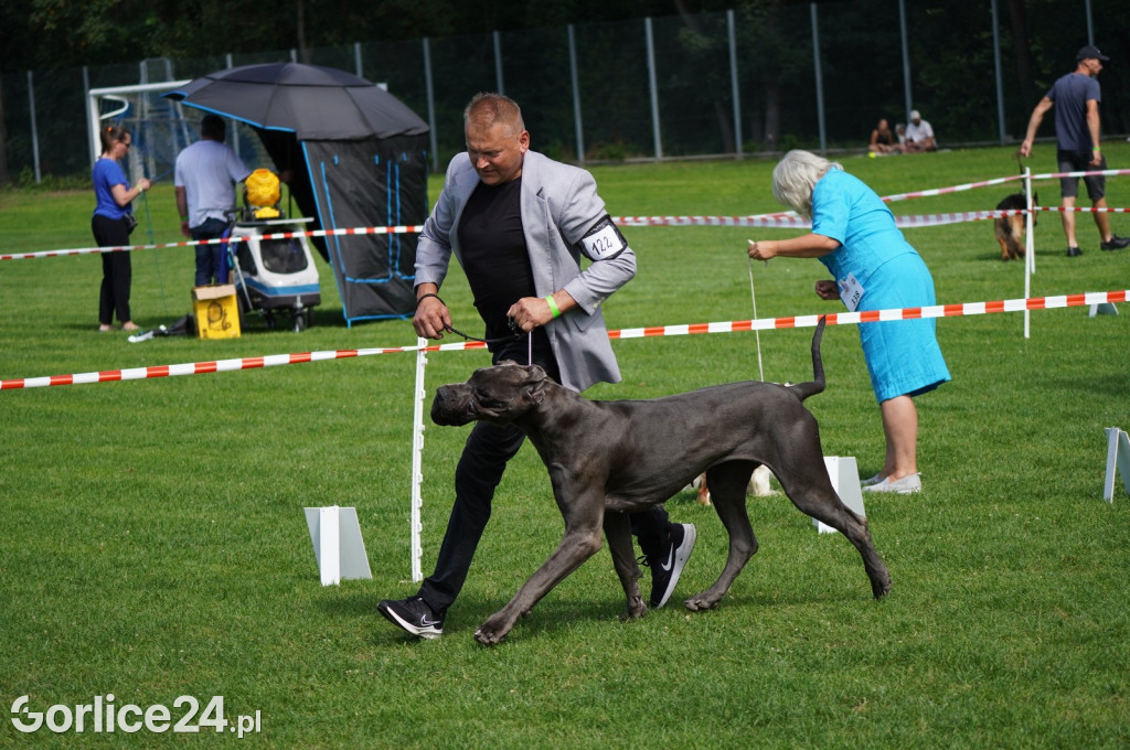 Wystawa Psów Rasowych w Gorlicach (10.08.2024.)