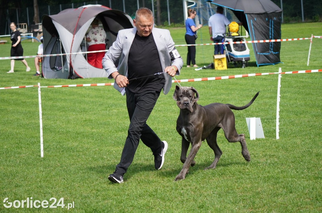 Wystawa Psów Rasowych w Gorlicach (10.08.2024.)