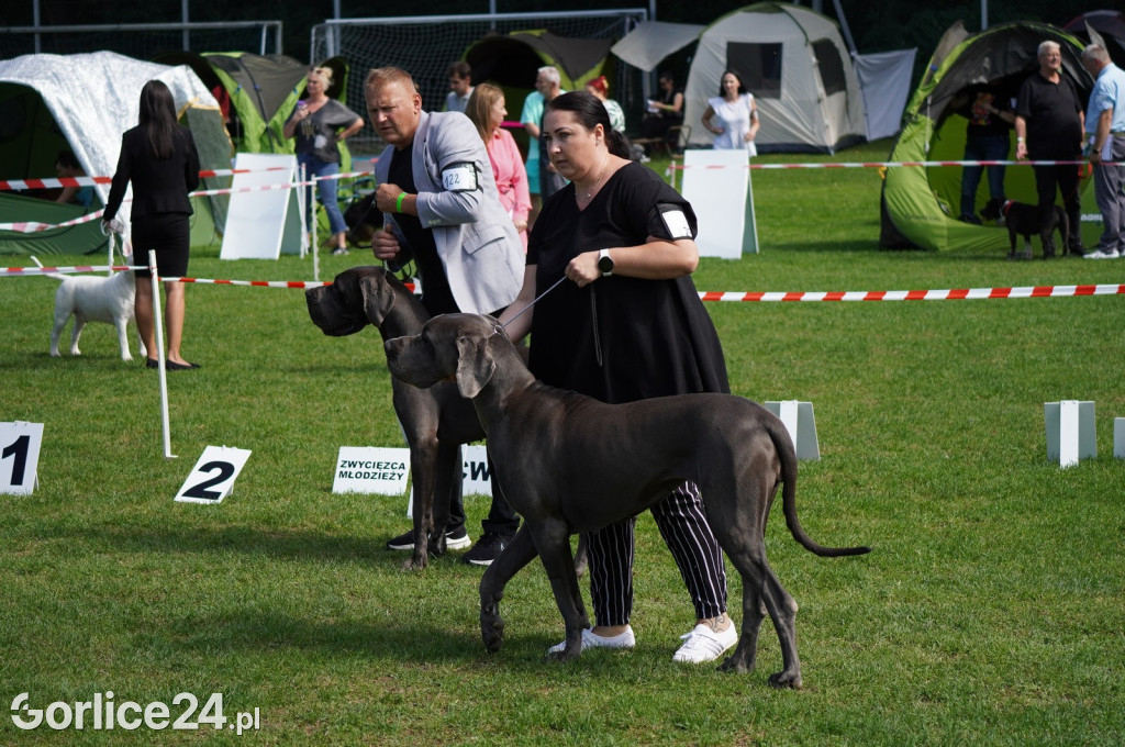 Wystawa Psów Rasowych w Gorlicach (10.08.2024.)
