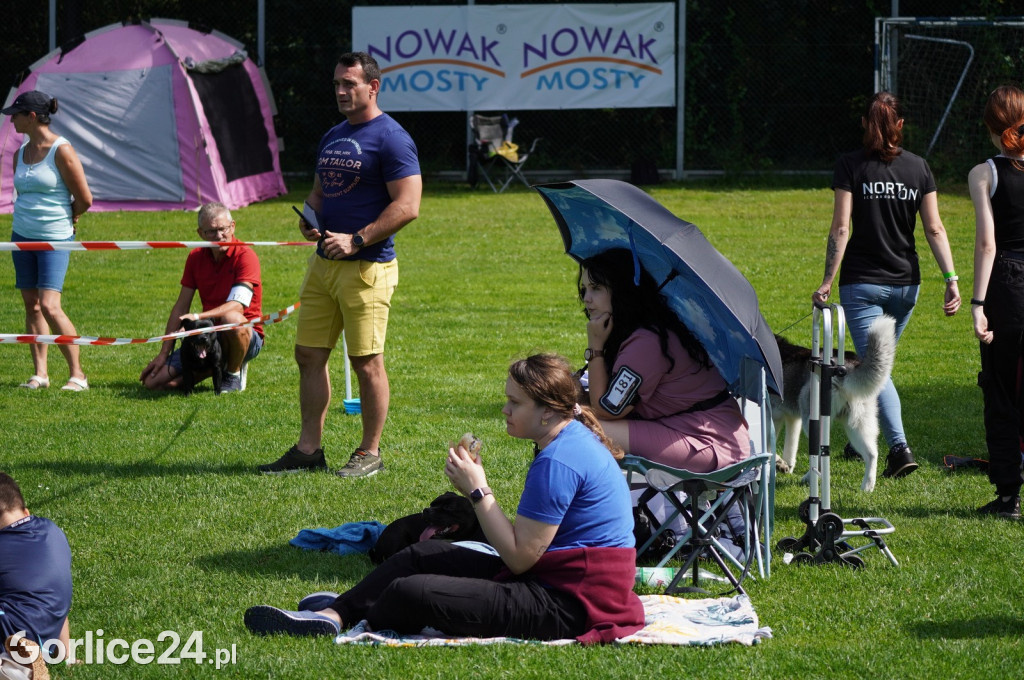 Wystawa Psów Rasowych w Gorlicach (10.08.2024.)