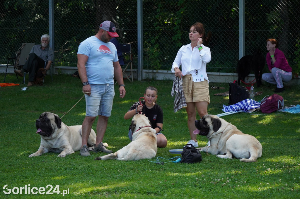 Wystawa Psów Rasowych w Gorlicach (10.08.2024.)
