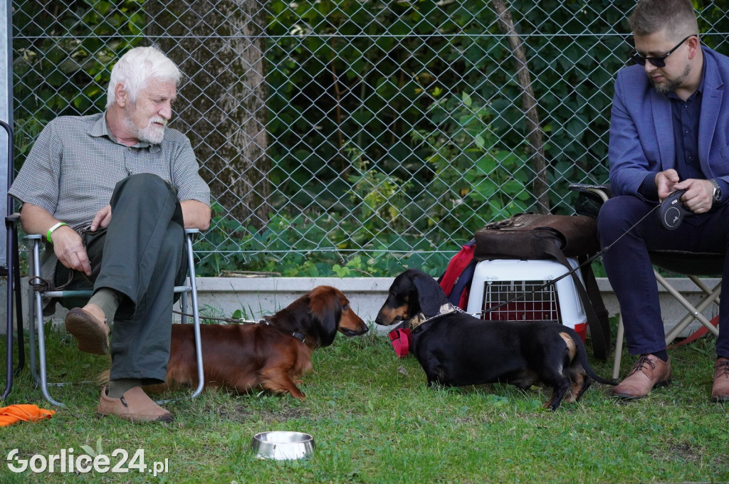 Wystawa Psów Rasowych w Gorlicach (10.08.2024.)