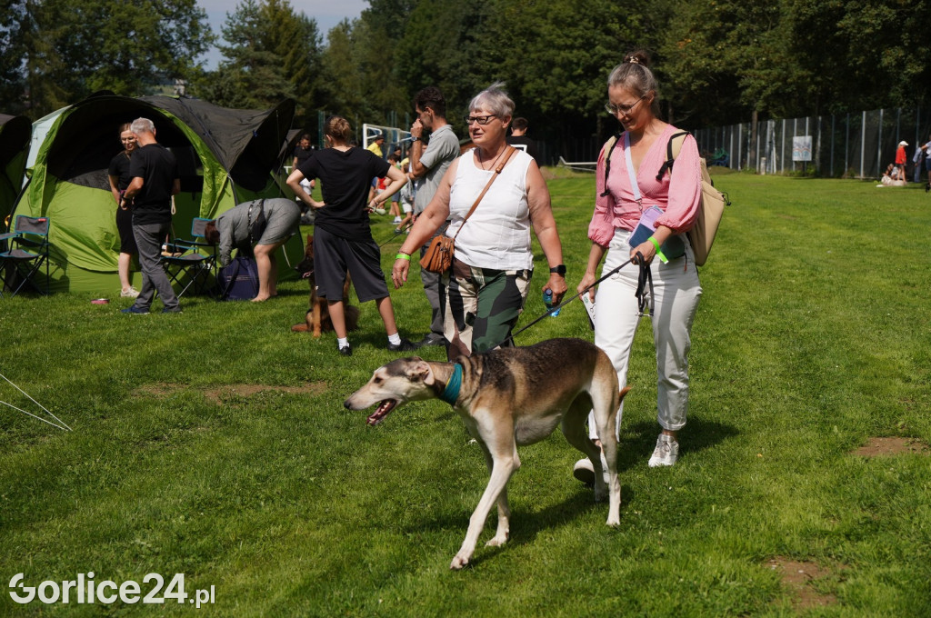 Wystawa Psów Rasowych w Gorlicach (10.08.2024.)