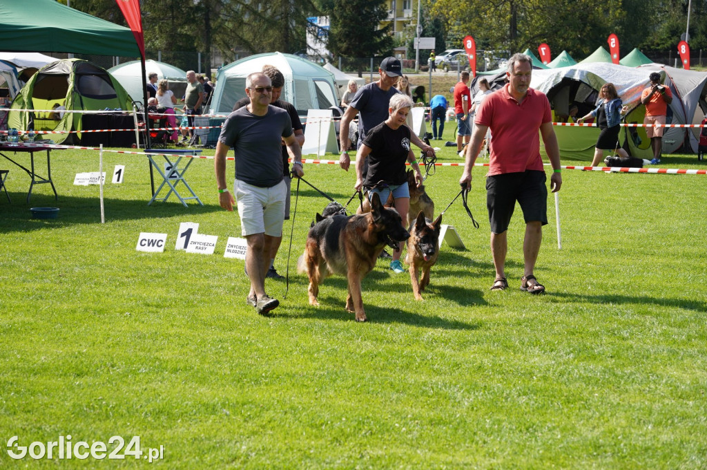Wystawa Psów Rasowych w Gorlicach (10.08.2024.)