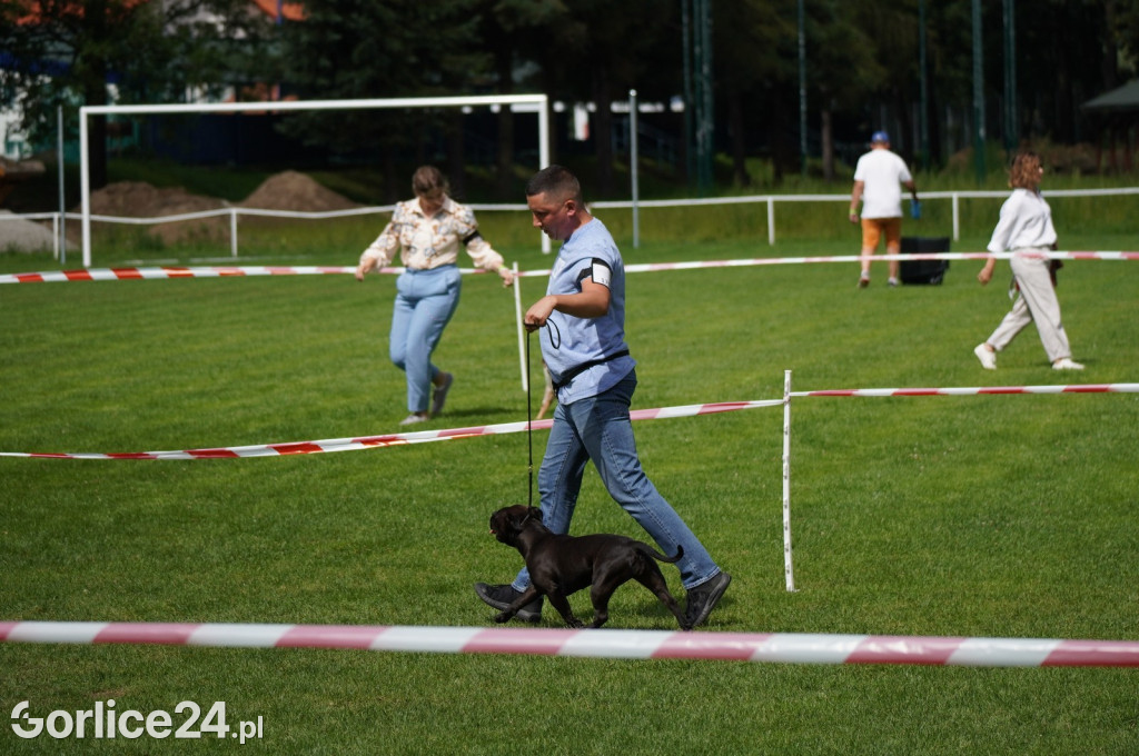 Wystawa Psów Rasowych w Gorlicach (10.08.2024.)