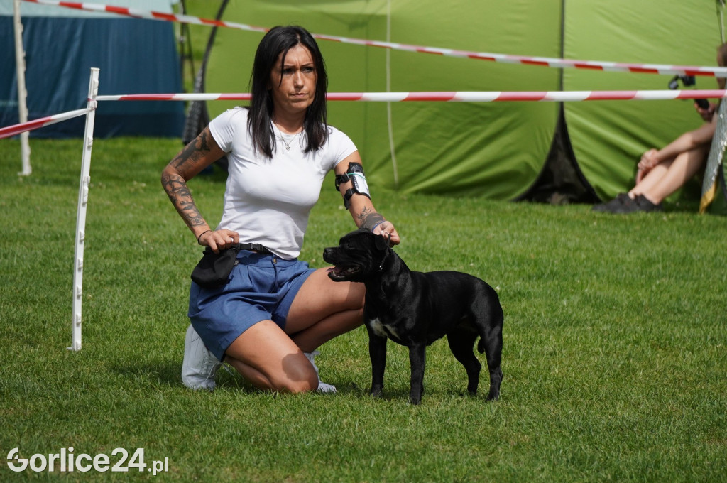 Wystawa Psów Rasowych w Gorlicach (10.08.2024.)