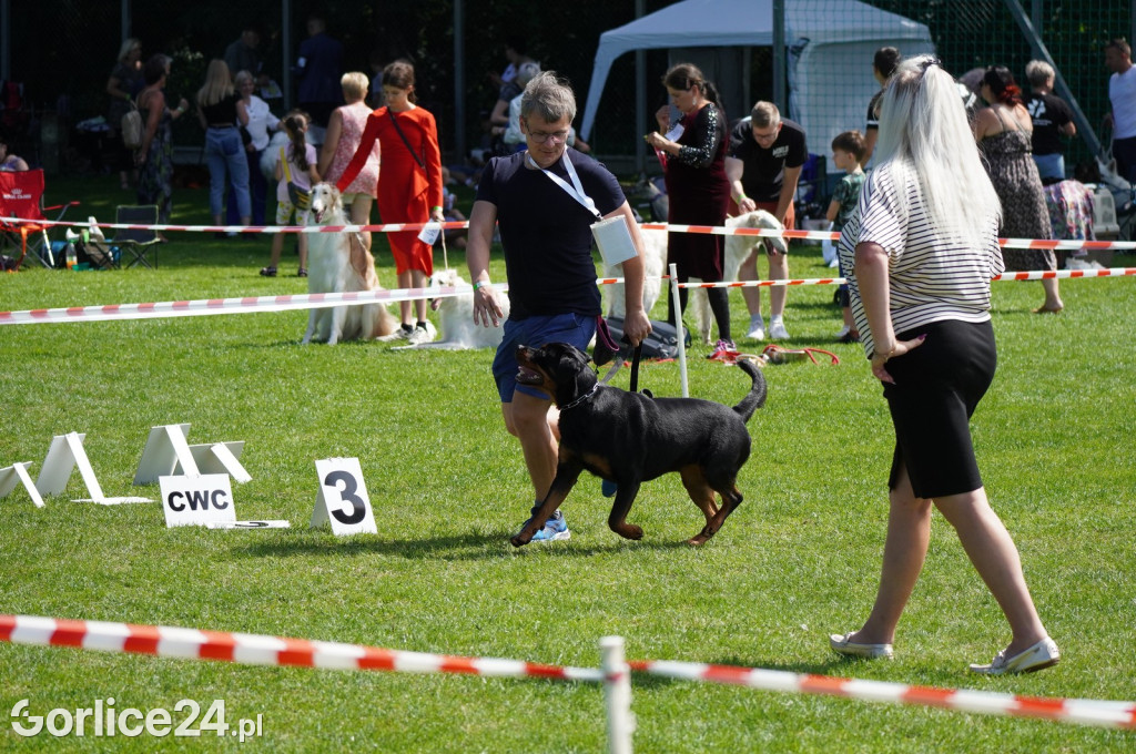 Wystawa Psów Rasowych w Gorlicach (10.08.2024.)