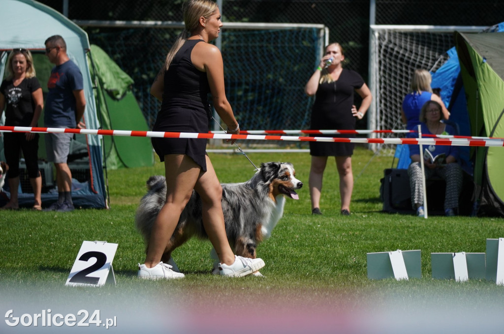 Wystawa Psów Rasowych w Gorlicach (10.08.2024.)
