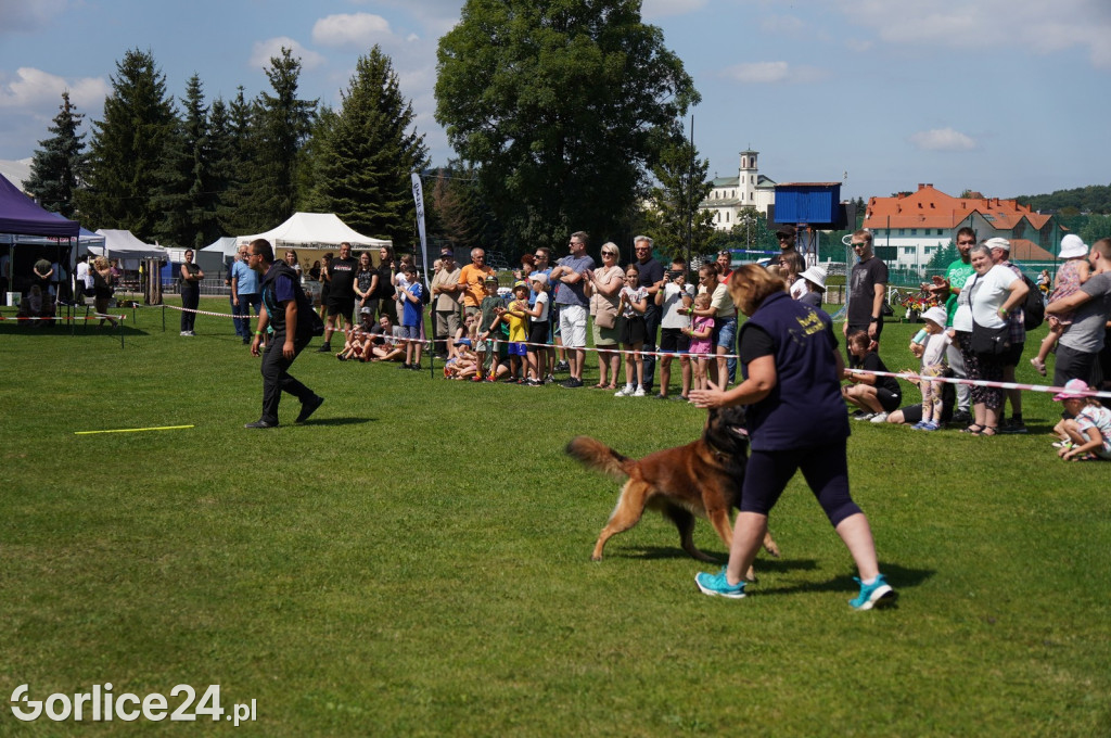 Wystawa Psów Rasowych w Gorlicach (10.08.2024.)