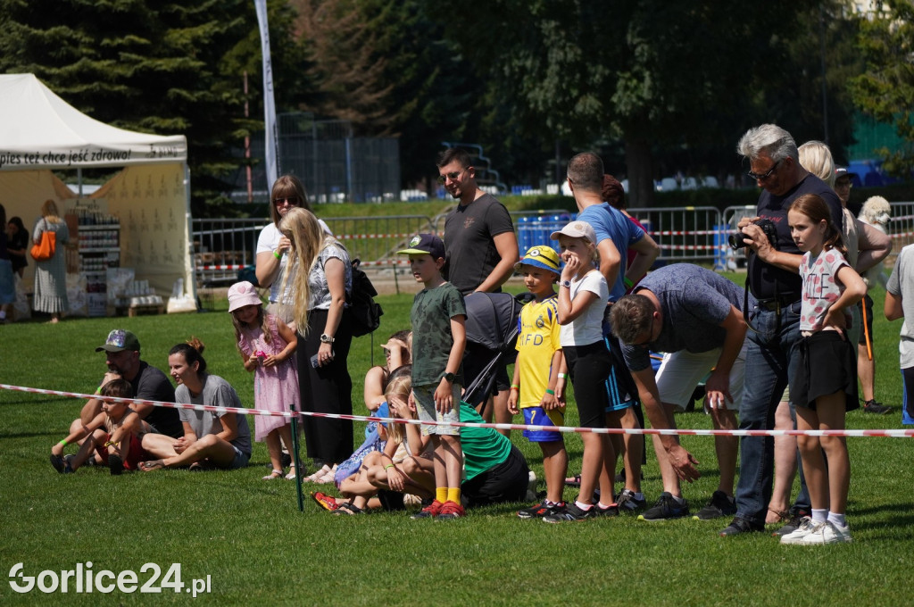 Wystawa Psów Rasowych w Gorlicach (10.08.2024.)